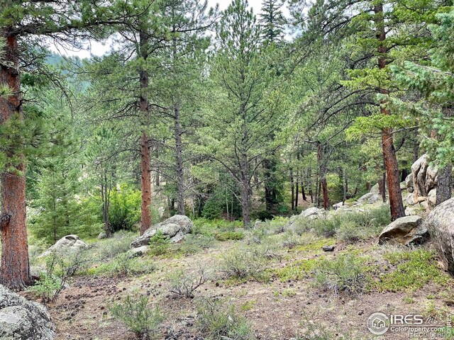 0 Hemlock, Lyons, CO 80540