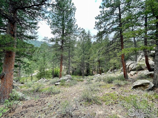 0 Hemlock, Lyons, CO 80540