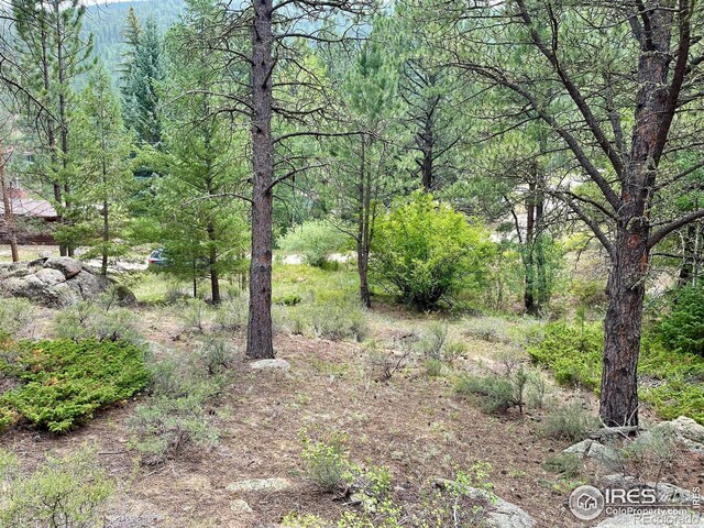 0 Hemlock, Lyons, CO 80540