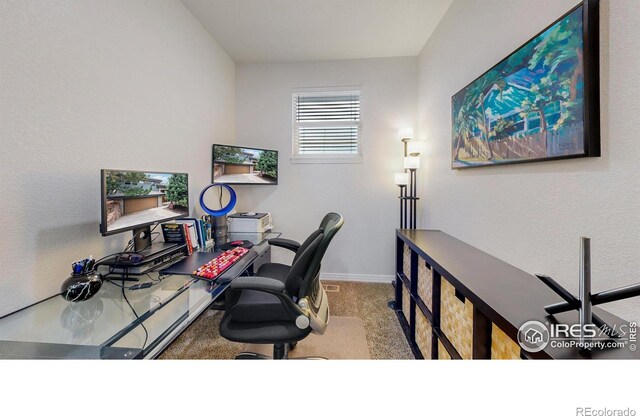 6503 Big Horn Trl, Littleton, CO 80125 - photo 11