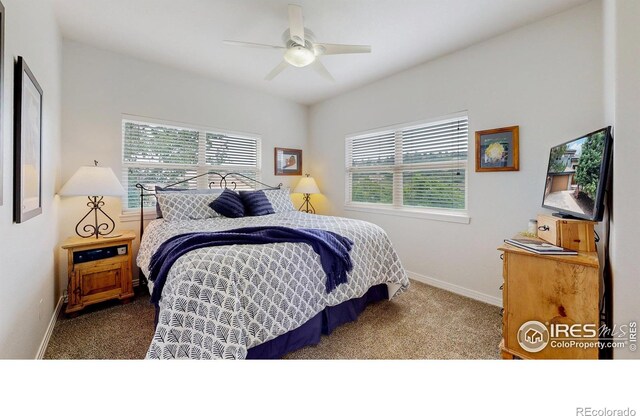 6503 Big Horn Trl, Littleton, CO 80125 - photo 12
