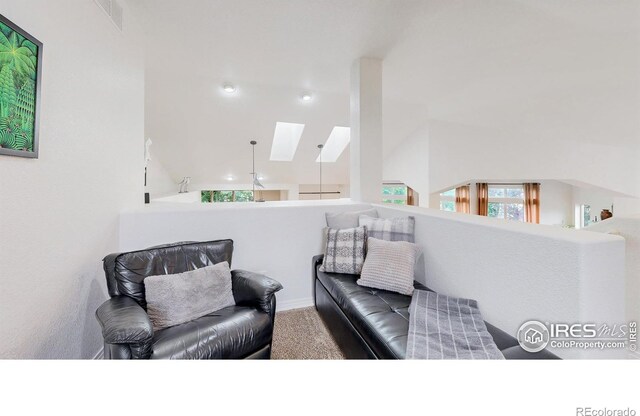 6503 Big Horn Trl, Littleton, CO 80125 - photo 13