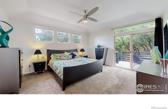 6503 Big Horn Trl, Littleton, CO 80125 - photo 14
