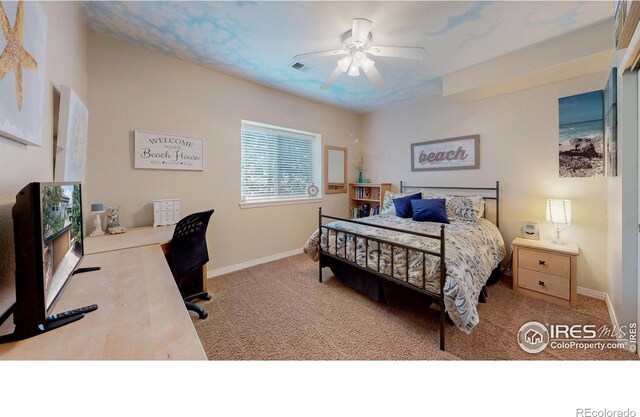 6503 Big Horn Trl, Littleton, CO 80125 - photo 19