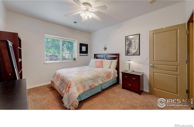 6503 Big Horn Trl, Littleton, CO 80125 - photo 20