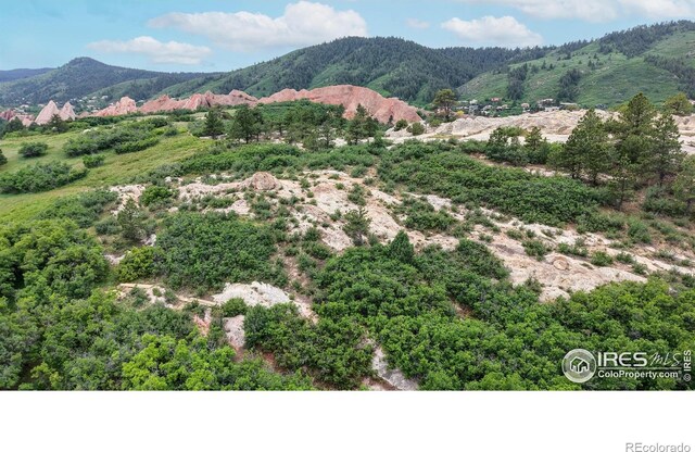 6503 Big Horn Trl, Littleton, CO 80125 - photo 38