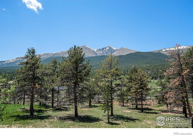 6600 State Highway 7, Estes Park, CO 80517 - view of mountain backdrop featuring a heavily wooded area