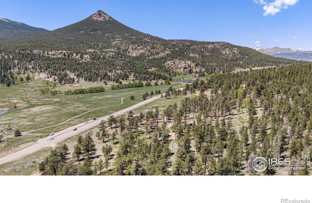 6600 State Highway 7, Estes Park, CO 80517 - view of mountain backdrop