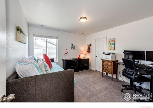 1191 Horsetail Loop, Elizabeth, CO 80107 - office area featuring carpet flooring