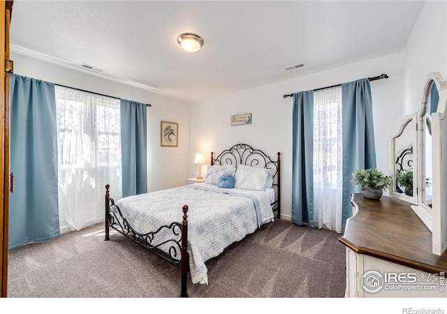 1191 Horsetail Loop, Elizabeth, CO 80107 - view of carpeted bedroom