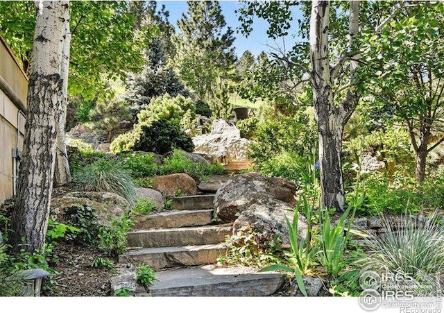 45 Bellevue Dr, Boulder, CO 80302 - view of yard
