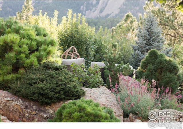 45 Bellevue Dr, Boulder, CO 80302 - view of mountain backdrop featuring a heavily wooded area