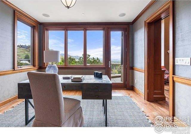 45 Bellevue Dr, Boulder, CO 80302 - office space with light wood-type flooring and baseboards