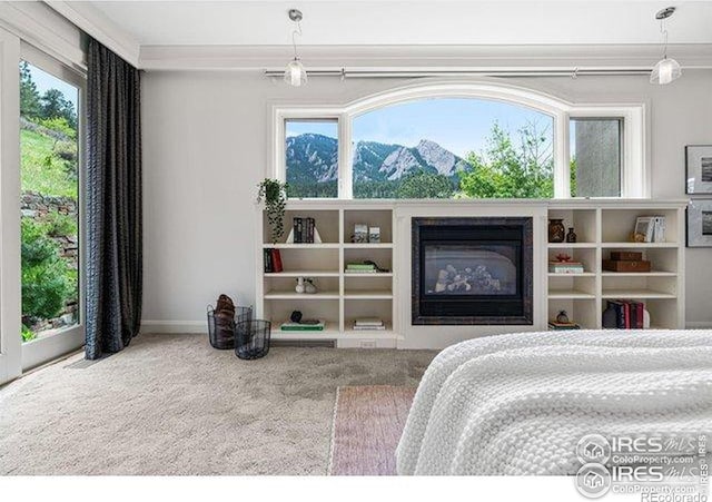 45 Bellevue Dr, Boulder, CO 80302 - bedroom featuring carpet, a glass covered fireplace, multiple windows, ornamental molding, and baseboards
