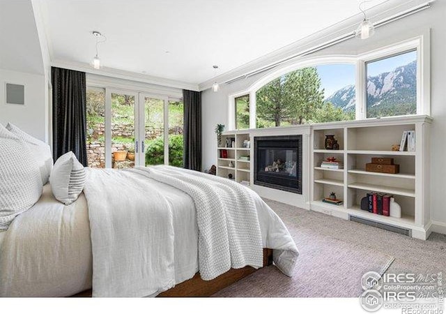 45 Bellevue Dr, Boulder, CO 80302 - bedroom featuring a glass covered fireplace, carpet, and ornamental molding