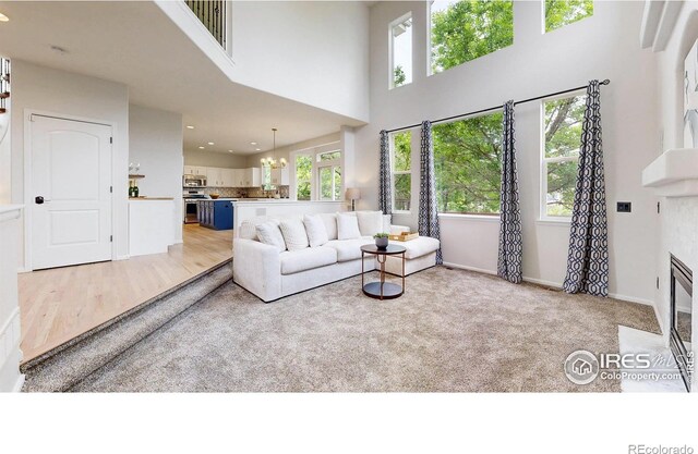 7597 Bison Ct, Littleton, CO 80125 - photo 9