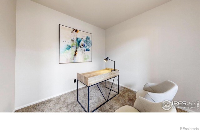 7597 Bison Ct, Littleton, CO 80125 - photo 19