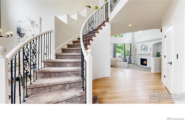 7597 Bison Ct, Littleton, CO 80125 - photo 21