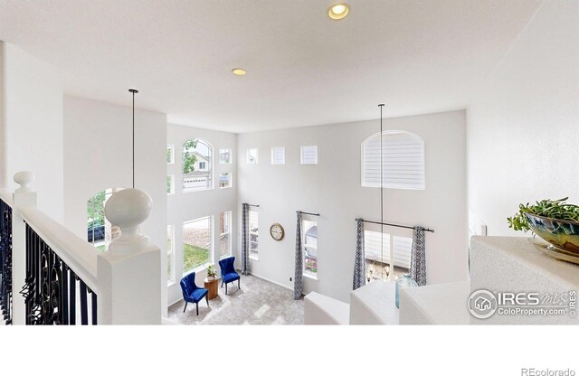7597 Bison Ct, Littleton, CO 80125 - photo 23