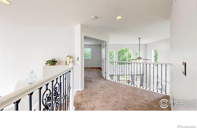 7597 Bison Ct, Littleton, CO 80125 - photo 24