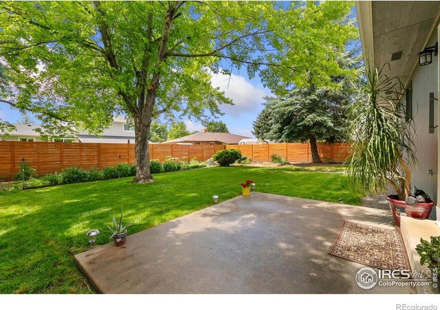 1069 Pinyon Dr, Windsor, CO 80550