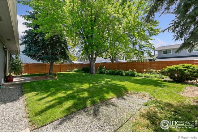 1069 Pinyon Dr, Windsor, CO 80550