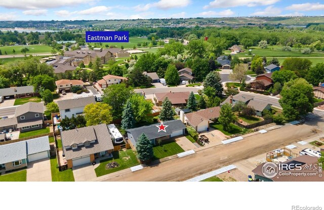 1069 Pinyon Dr, Windsor, CO 80550