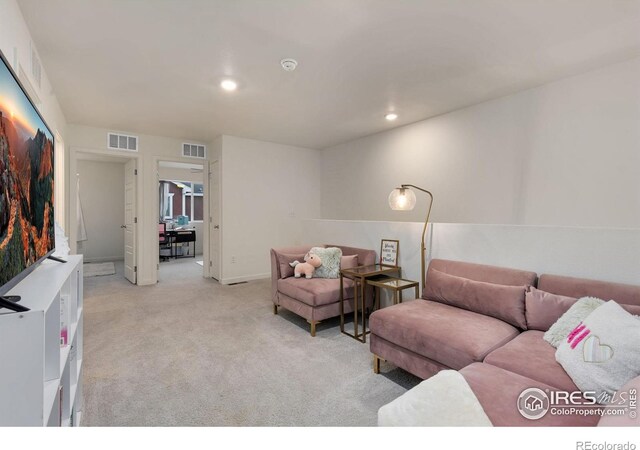 205 Cardinal St, Johnstown, CO 80534 - photo 19