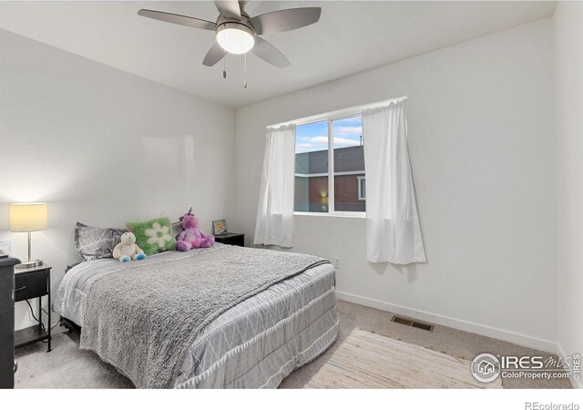 205 Cardinal St, Johnstown, CO 80534 - photo 24