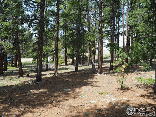 0 Caesar Rd, Black Hawk, CO 80422