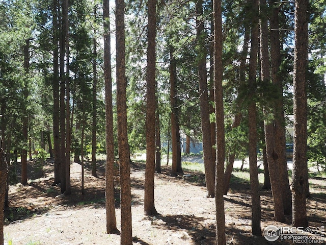 0 Caesar Rd, Black Hawk, CO 80422