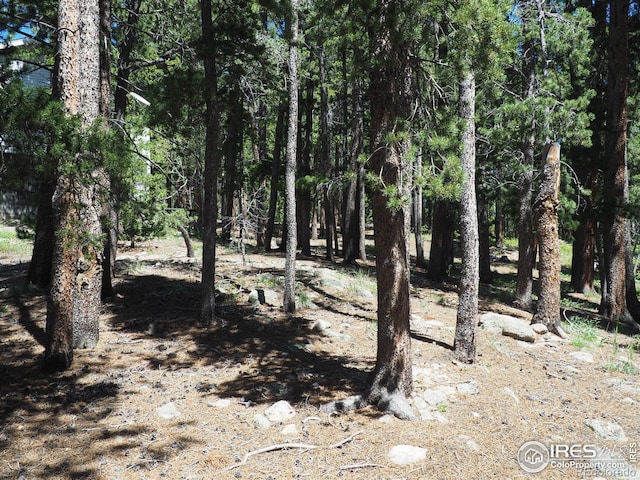 0 Caesar Rd, Black Hawk, CO 80422