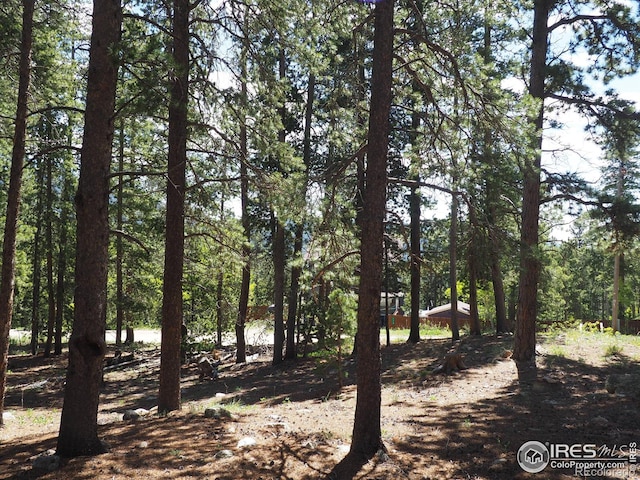 0 Caesar Rd, Black Hawk, CO 80422