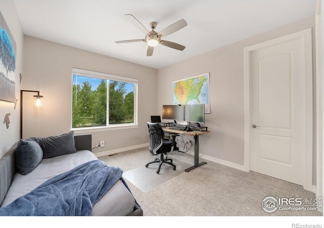 5966 Sunny Crest Dr, Timnath, CO 80547 - carpeted home office with ceiling fan and baseboards