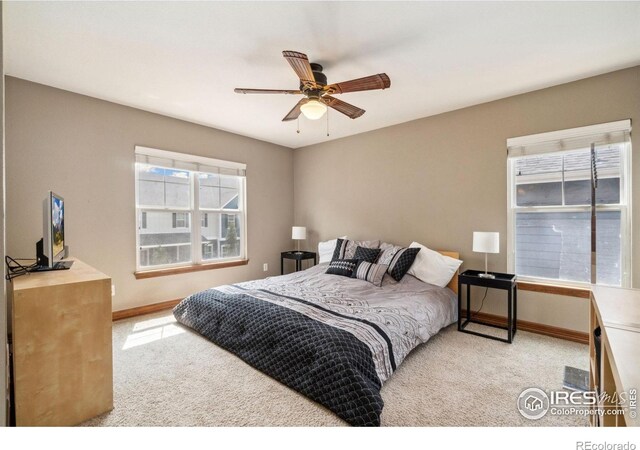 5356 Cornerstone Dr, Fort Collins, CO 80528 - photo 16