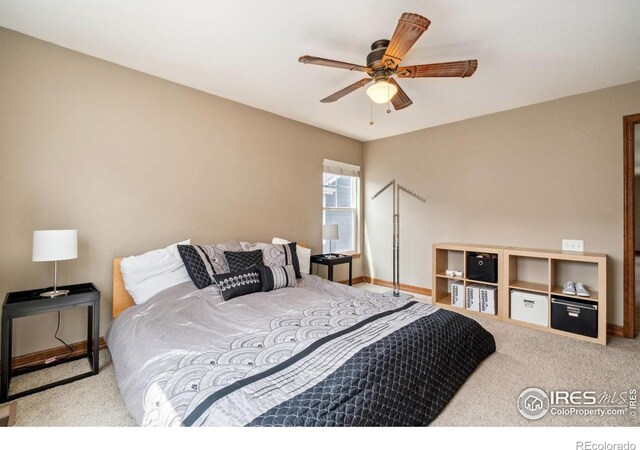 5356 Cornerstone Dr, Fort Collins, CO 80528 - photo 17