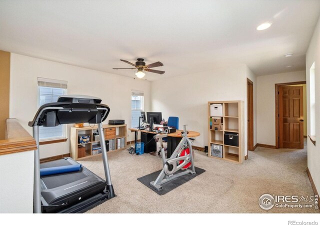 5356 Cornerstone Dr, Fort Collins, CO 80528 - photo 20