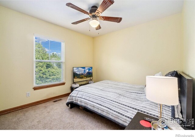 5356 Cornerstone Dr, Fort Collins, CO 80528 - photo 24