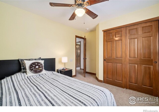 5356 Cornerstone Dr, Fort Collins, CO 80528 - photo 25