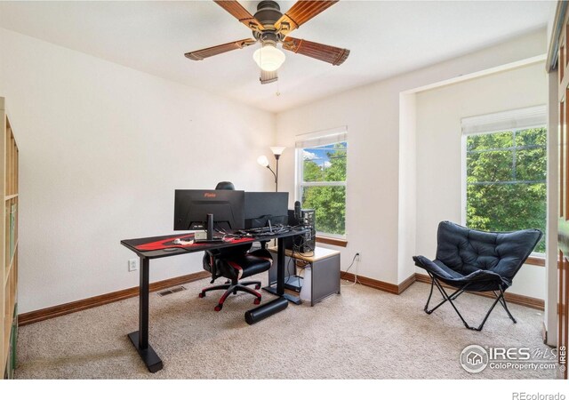 5356 Cornerstone Dr, Fort Collins, CO 80528 - photo 26