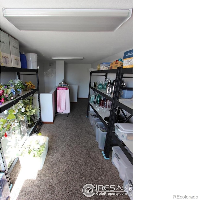 220 12th St SW Unit 125, Loveland, CO 80537 - photo 12