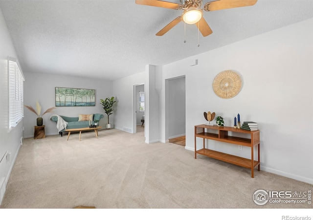 402 S Shields St, Fort Collins, CO 80521 - photo 6