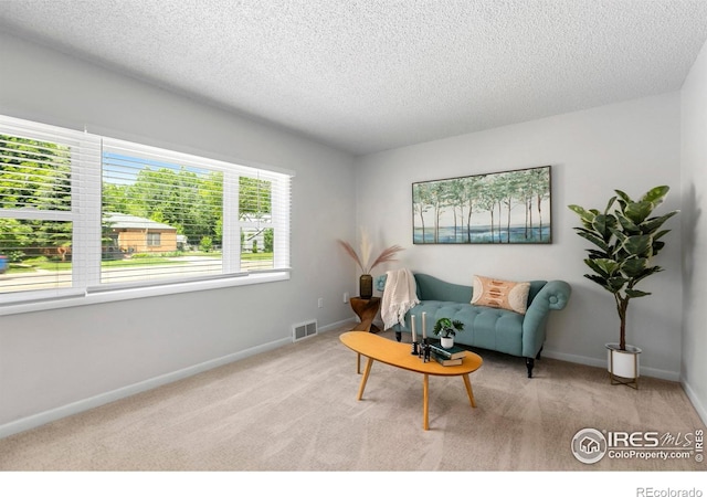 402 S Shields St, Fort Collins, CO 80521 - photo 7