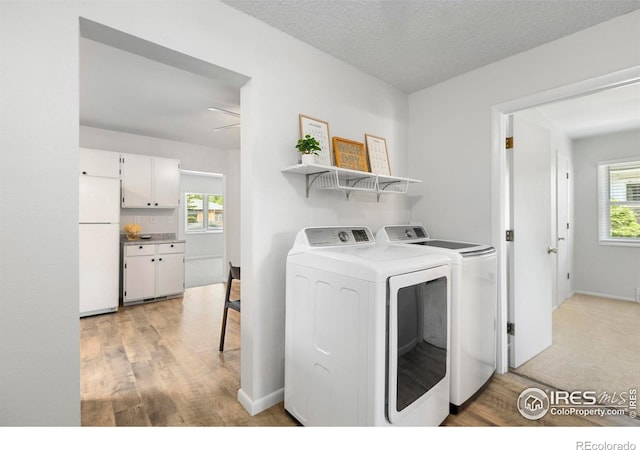 402 S Shields St, Fort Collins, CO 80521 - photo 10