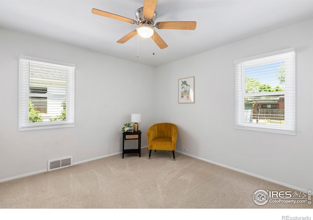 402 S Shields St, Fort Collins, CO 80521 - photo 12
