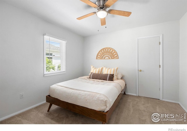402 S Shields St, Fort Collins, CO 80521 - photo 13
