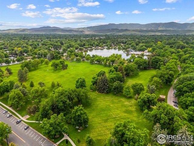 402 S Shields St, Fort Collins, CO 80521 - photo 30