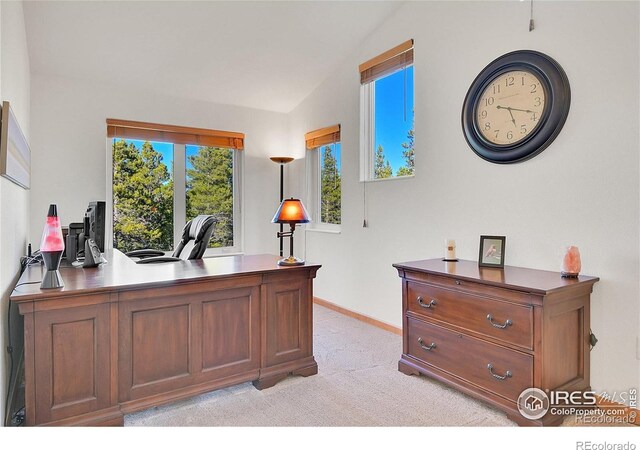 398 Mountain View Dr, Black Hawk, CO 80422 - photo 18