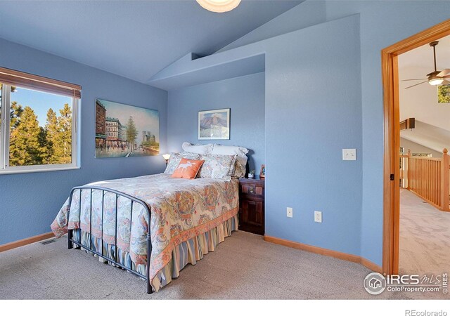 398 Mountain View Dr, Black Hawk, CO 80422 - photo 21