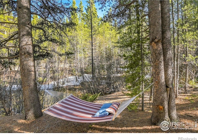 398 Mountain View Dr, Black Hawk, CO 80422 - photo 27